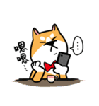 Mr. ShibaInu（個別スタンプ：21）