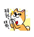 Mr. ShibaInu（個別スタンプ：22）