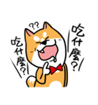 Mr. ShibaInu（個別スタンプ：28）