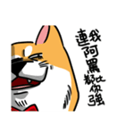 Mr. ShibaInu（個別スタンプ：33）