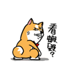 Mr. ShibaInu（個別スタンプ：35）