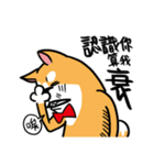 Mr. ShibaInu（個別スタンプ：36）