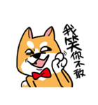 Mr. ShibaInu（個別スタンプ：39）