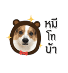 Toby the Corgi（個別スタンプ：39）