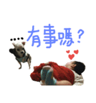 Cute Baby(1)（個別スタンプ：5）