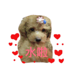 lovebog（個別スタンプ：12）