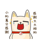 Accessus - The dog's name is Tu Dou（個別スタンプ：21）