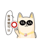 Accessus - The dog's name is Tu Dou（個別スタンプ：37）
