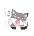 Meet Ha-jiang, a black and white cat（個別スタンプ：1）