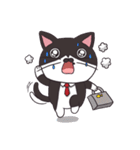 Meet Ha-jiang, a black and white cat（個別スタンプ：11）