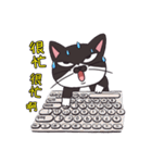 Meet Ha-jiang, a black and white cat（個別スタンプ：12）