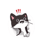 Meet Ha-jiang, a black and white cat（個別スタンプ：15）