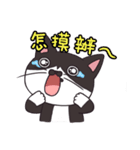 Meet Ha-jiang, a black and white cat（個別スタンプ：23）