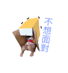 Zhang Abdutyday -0（個別スタンプ：3）