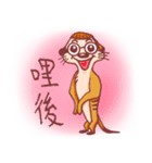 QMeerkat（個別スタンプ：1）