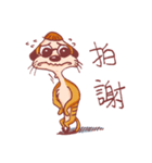 QMeerkat（個別スタンプ：3）