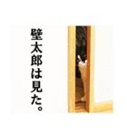 壁太郎スタンプ（個別スタンプ：14）