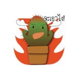 Nong Cactus（個別スタンプ：6）