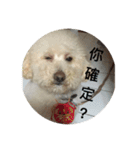 dog Cola 1（個別スタンプ：4）