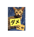 可愛い猫たーちー（個別スタンプ：11）