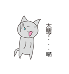 Crazy cat everyday（個別スタンプ：8）