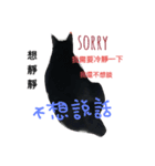 BLack cat is my baby（個別スタンプ：13）