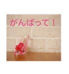 Betty's Flowerのフラワースタンプ（個別スタンプ：3）