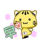 Cute striped cat. CAT43（個別スタンプ：2）