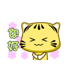 Cute striped cat. CAT43（個別スタンプ：20）