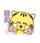 Cute striped cat. CAT43（個別スタンプ：24）