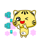 Cute striped cat. CAT43（個別スタンプ：30）