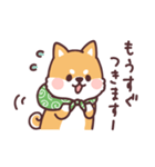 ころころ柴犬4（個別スタンプ：9）