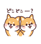 ころころ柴犬4（個別スタンプ：11）