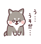 ころころ柴犬4（個別スタンプ：20）