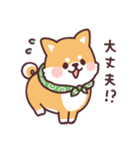 ころころ柴犬4（個別スタンプ：21）