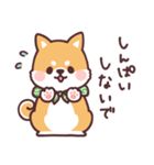 ころころ柴犬4（個別スタンプ：22）