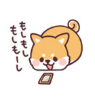 ころころ柴犬4（個別スタンプ：38）