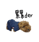 poodle - dog's life（個別スタンプ：7）