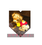 Nonnodog（個別スタンプ：2）