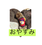 Nonnodog（個別スタンプ：7）