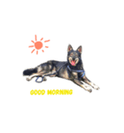 Emoji of Cooper（個別スタンプ：2）