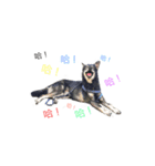 Emoji of Cooper（個別スタンプ：8）