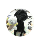 Dogdogco（個別スタンプ：5）