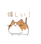 不動ねこ（個別スタンプ：1）