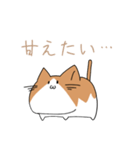 不動ねこ（個別スタンプ：2）