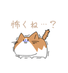 不動ねこ（個別スタンプ：5）