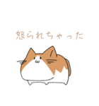 不動ねこ（個別スタンプ：8）