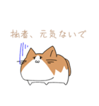 不動ねこ（個別スタンプ：10）