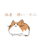 不動ねこ（個別スタンプ：12）