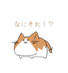 不動ねこ（個別スタンプ：13）